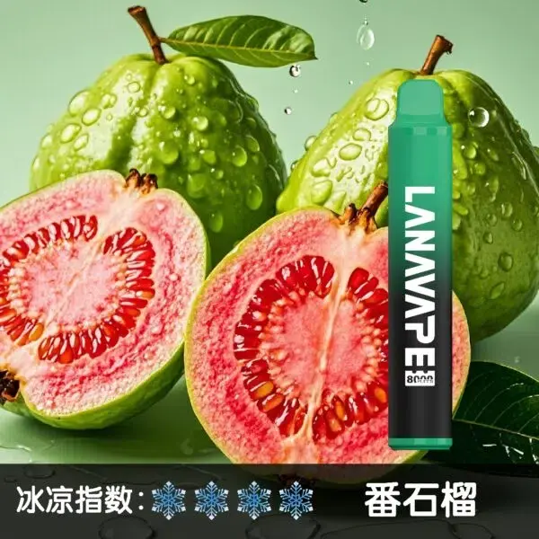 LANA8000口番石榴600x600jpgwebp XIAOKETOP 台灣電子煙專賣|主營各品牌煙彈主機霧化器